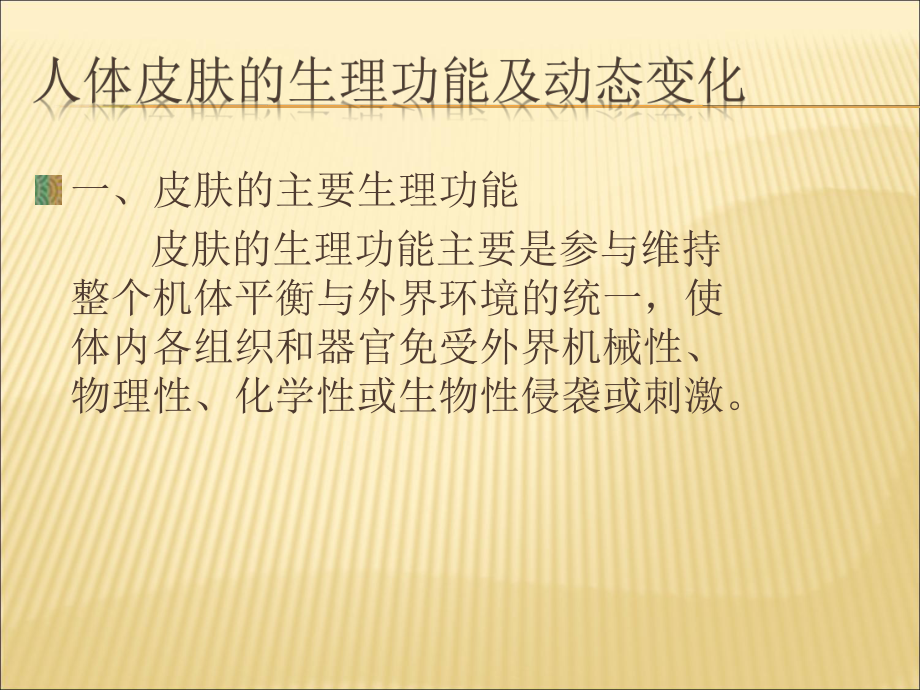 （课件）美容师培训系列3ppt.ppt_第2页