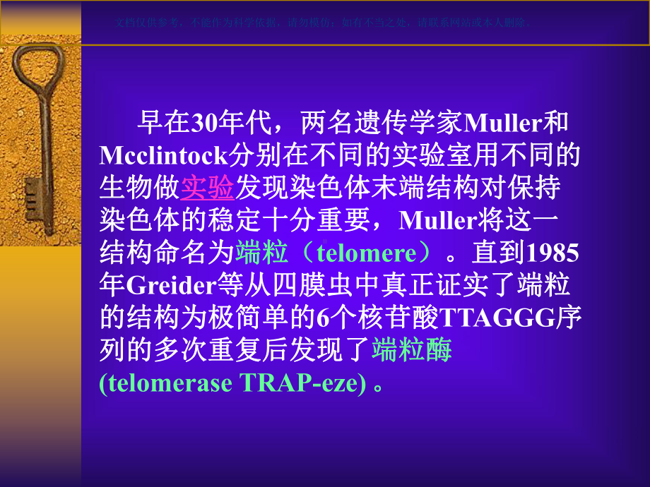 端粒和端粒酶课件.ppt_第1页