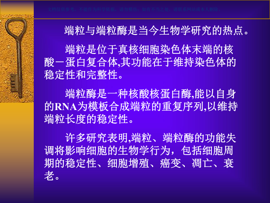 端粒和端粒酶课件.ppt_第2页