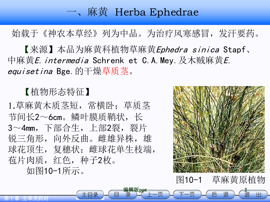 全草类药材PPT课件.ppt_第2页