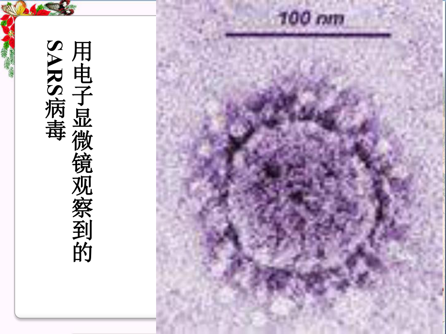 11.1《走进微观》PPT教学课件.pptx_第3页