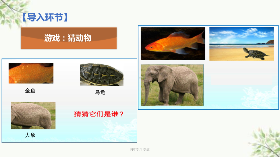 《动物的皮肤》上课件.ppt_第2页