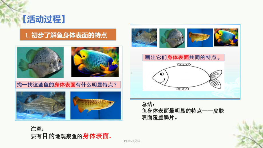 《动物的皮肤》上课件.ppt_第3页