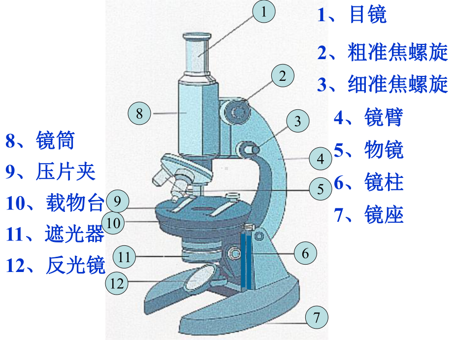 细胞的多样性和统一性课件新人教版必修.ppt_第3页