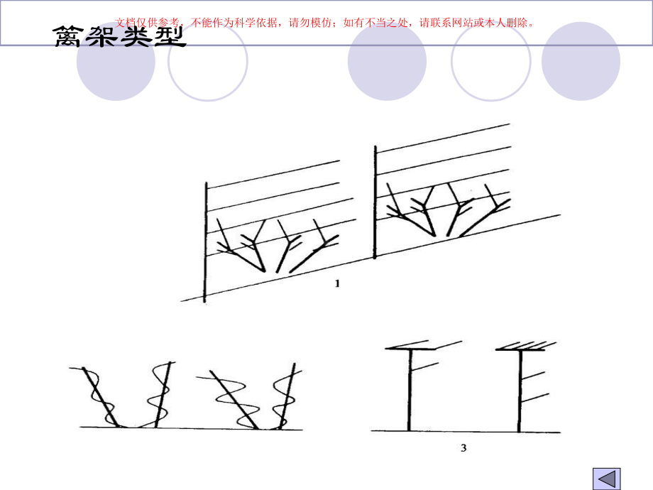 葡萄架式和整形修剪课件.ppt_第2页