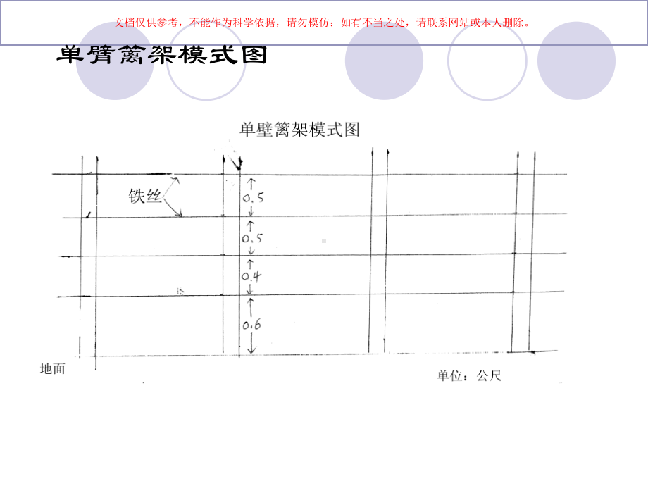 葡萄架式和整形修剪课件.ppt_第3页