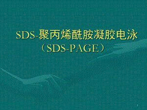 SDS-PAGE蛋白凝胶电泳PPT幻灯片课件.ppt