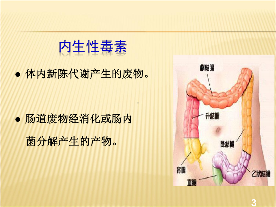 （课件）益生菌与健康精品版.ppt_第3页