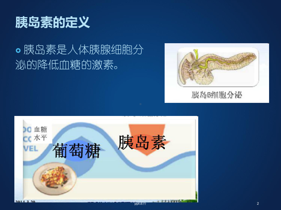 皮下注射胰岛素-ppt课件.ppt_第2页