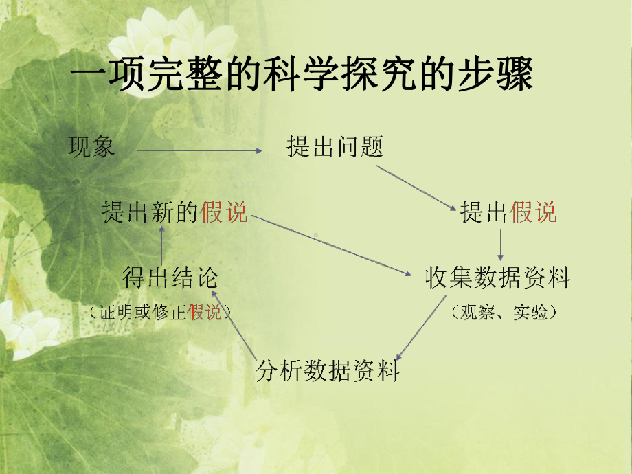 《科学探究》PPT课件.pptx_第2页