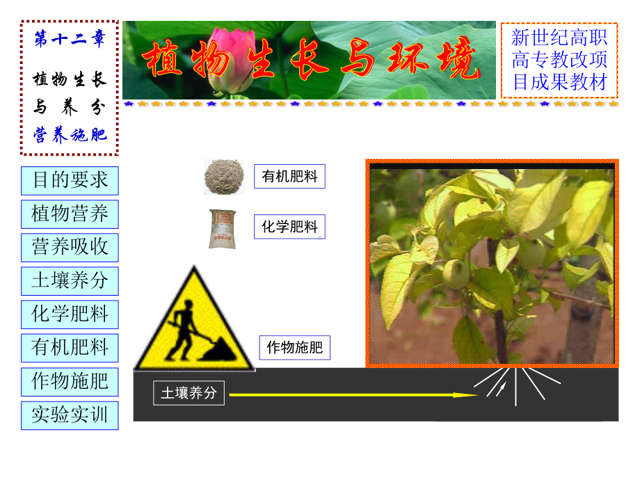 《植物生长与环境》教学课件(土壤养分)..ppt_第1页