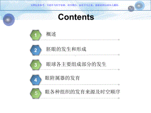 眼的发育生物学课件.ppt