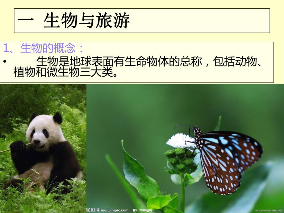 生物景观旅游资源PPT课件.ppt_第2页