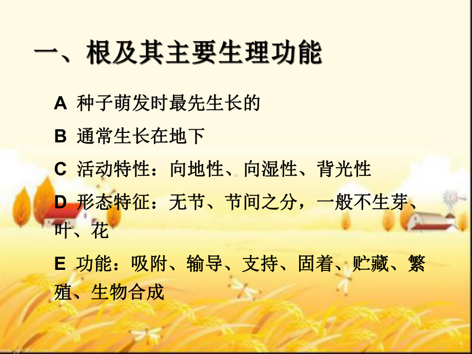 《植物学》课件：根-PPT.ppt_第3页