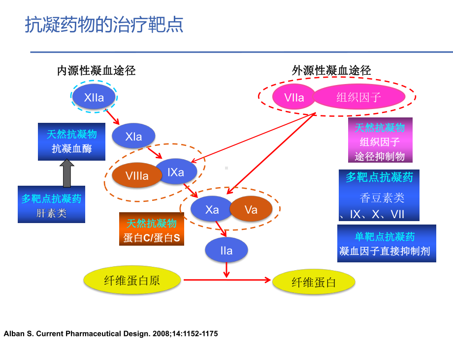 从抗凝机制的角度理解和选用抗凝药物-ppt课件.ppt_第2页