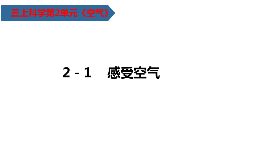 2021年教科版三年级科学上册第二单元课件全套.pptx_第3页