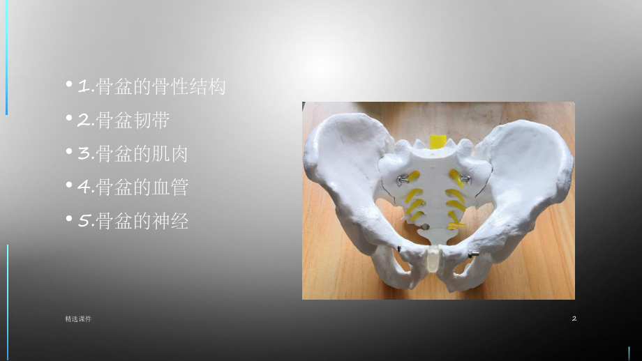 骨盆解剖ppt课件(同名933).ppt_第2页