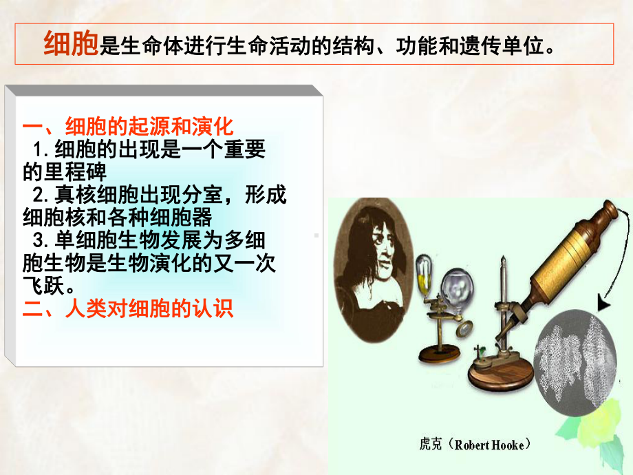 大学植物学课件第一章植物细胞.ppt_第3页