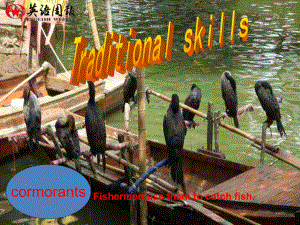 Traditional-skillsPPT课件-牛津上海版.ppt