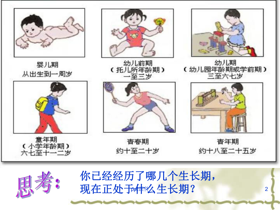 小学生青春期健康知识讲座(女孩)-ppt课件.ppt_第2页