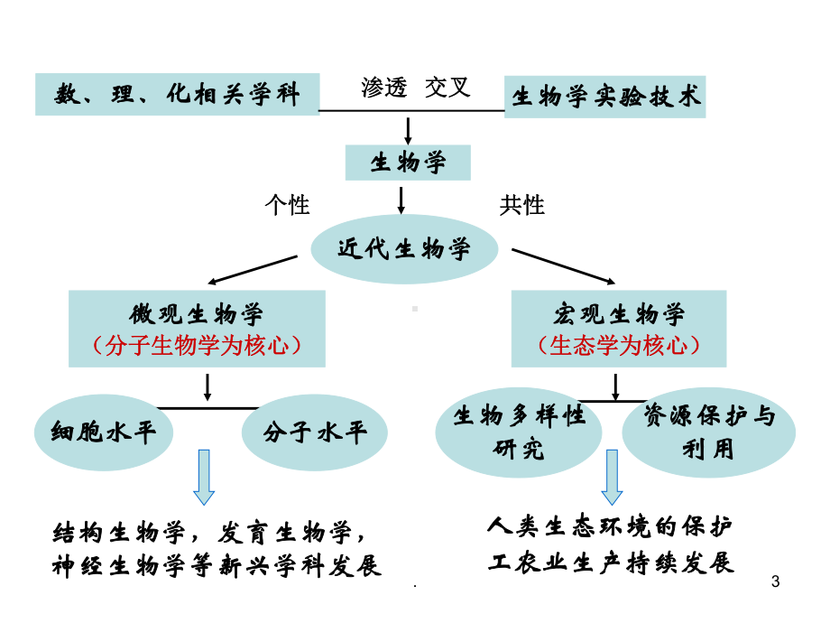 分子生物学课件ppt演示课件.ppt_第3页