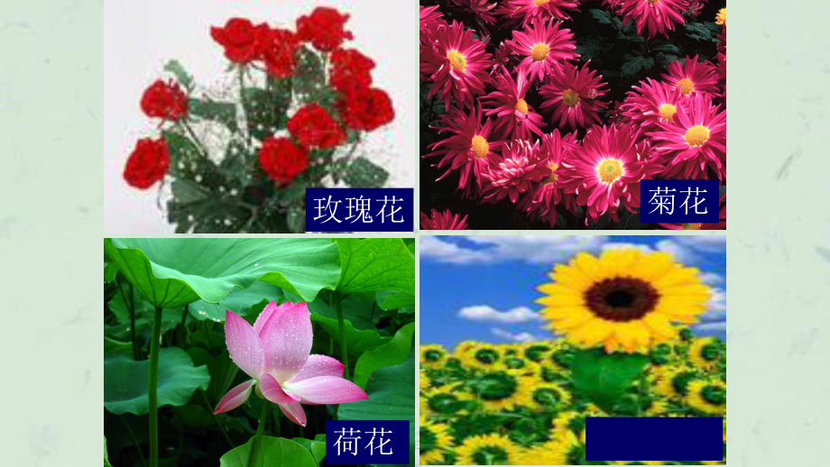 梅花王安石课件.ppt_第1页