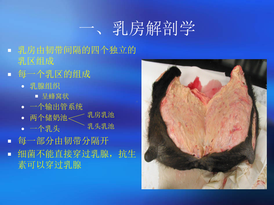 奶牛乳房炎综合防治精品PPT课件.ppt_第2页