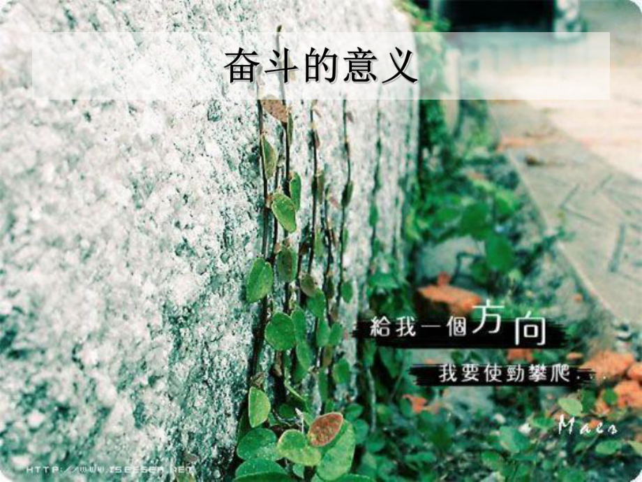 高中生励志奋斗与梦想PPT课件.ppt_第3页