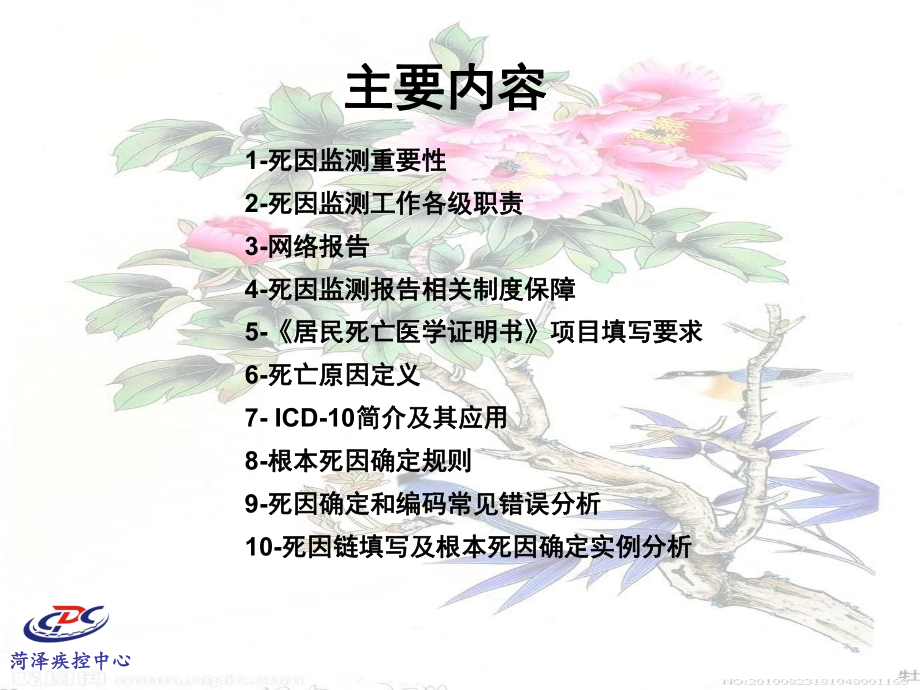 根死因监测培训课件(单县).ppt_第2页