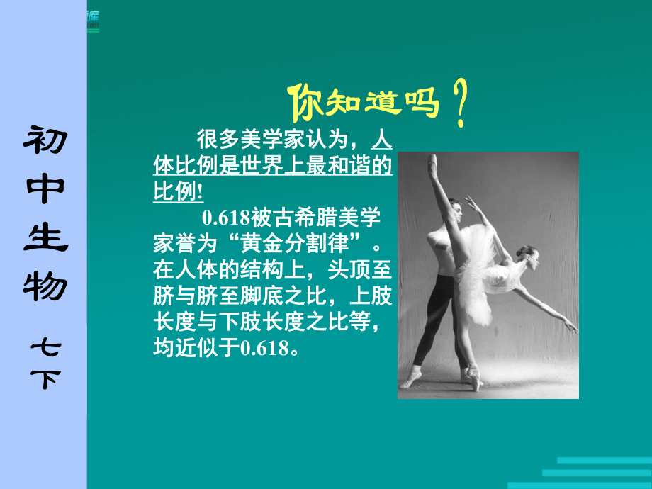 初中生物苏科版课件.ppt_第3页