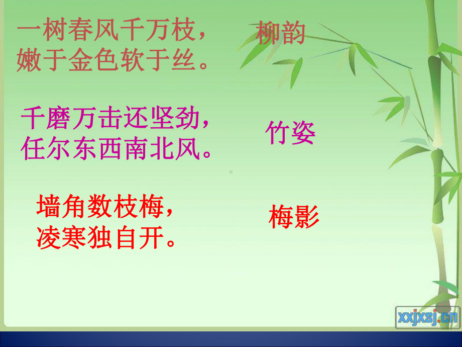 《白杨礼赞》PPT精品教学课件.ppt_第2页