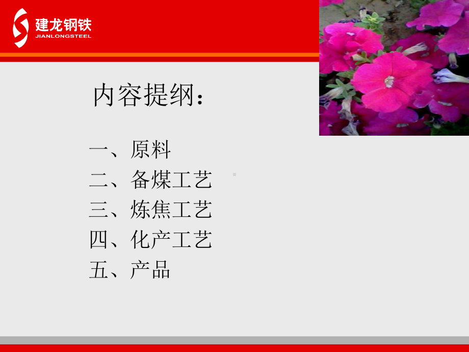 焦化厂工艺培训专题培训课件.ppt_第1页