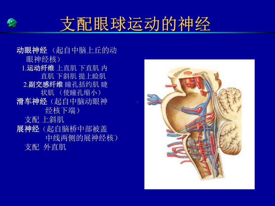 最新眼肌麻痹专题讲座主题讲座课件.ppt_第3页