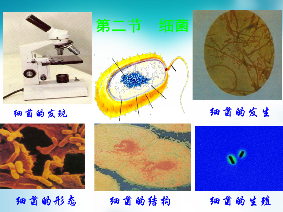 一年级地理课件.ppt_第1页