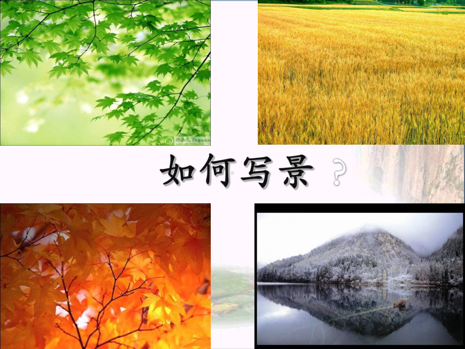 初中作文指导：如何写景PPT优秀课件(25张).ppt_第1页