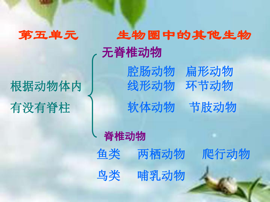 八年级生物上册总复习课件人教版.ppt.ppt_第1页