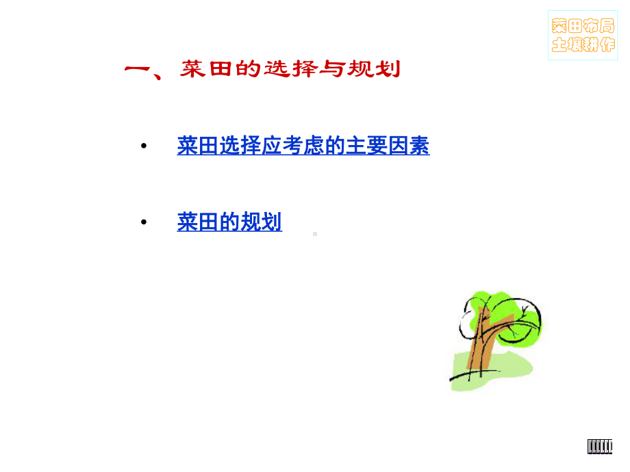 《农学蔬菜种植》PPT课件教学教材.ppt_第3页