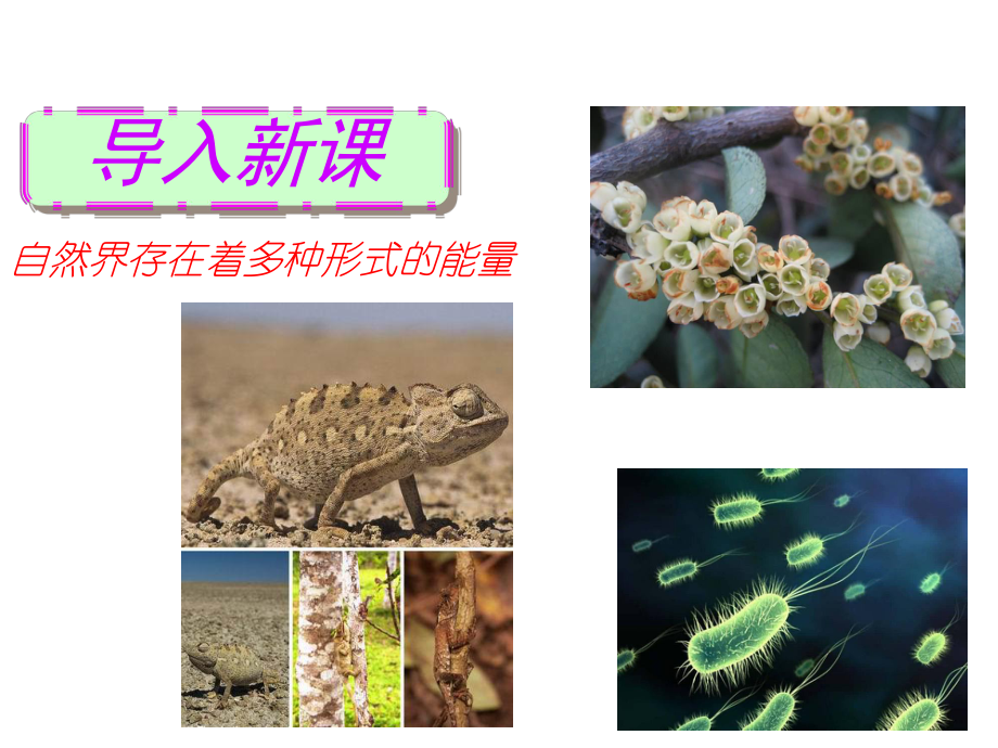 人教版九年级物理上册课件-能量的转化和守恒.ppt_第3页