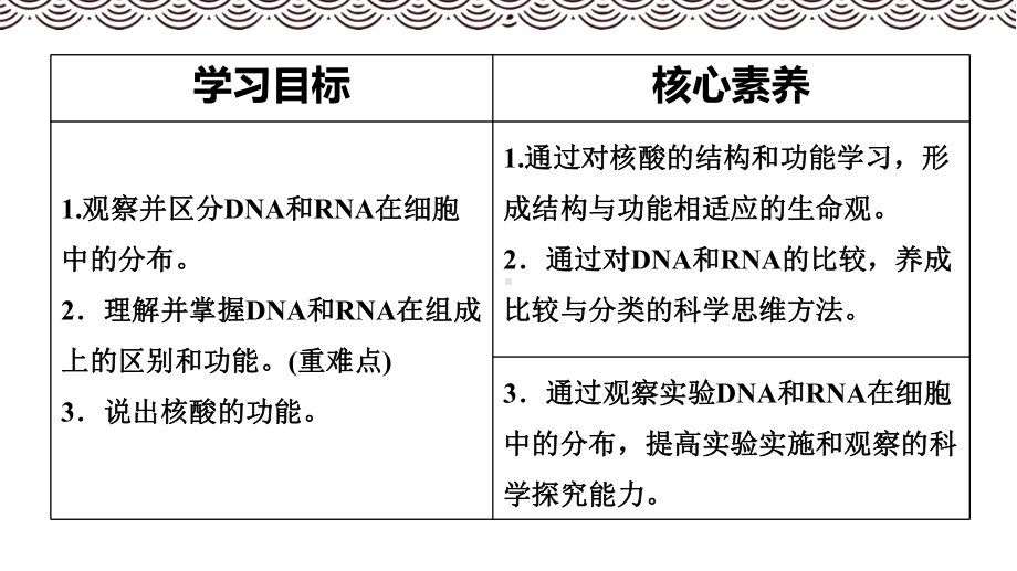 人教版高中生物必修一：核酸是遗传信息的携带者新教材PPT课件.pptx_第2页