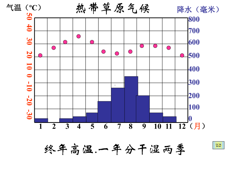 世界的气候类型复习课件.ppt_第3页