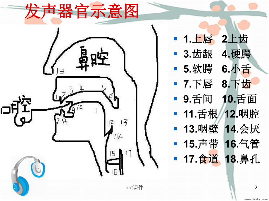 如何讲好普通话(技巧及练习)-ppt课件.ppt_第2页