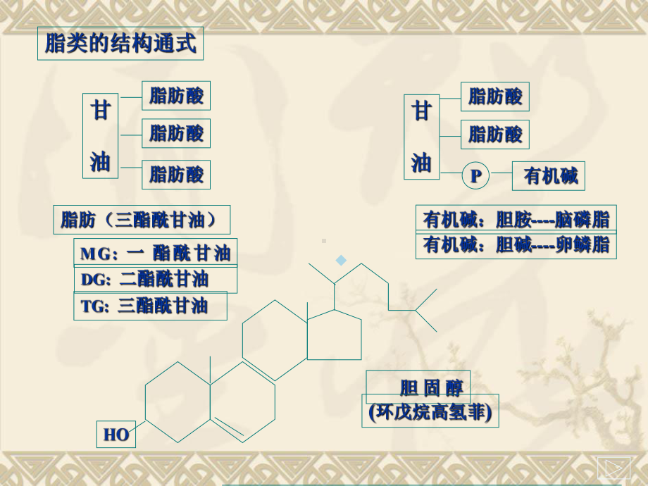 王镜岩生物化学课件-第八章脂质与生物膜.ppt_第3页