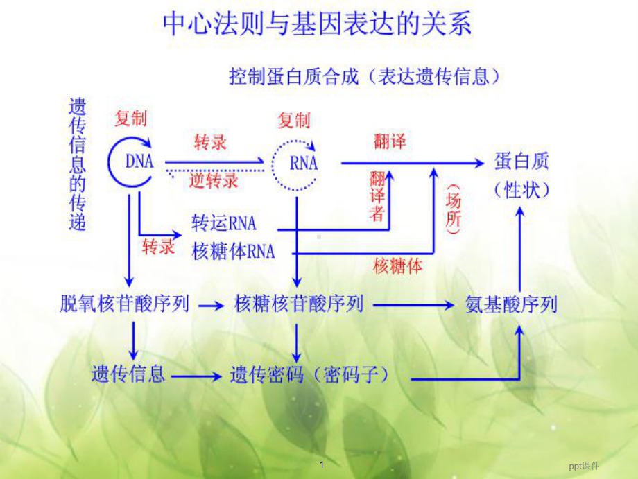 基因突变和基因重组(优质课)-ppt课件.ppt_第1页