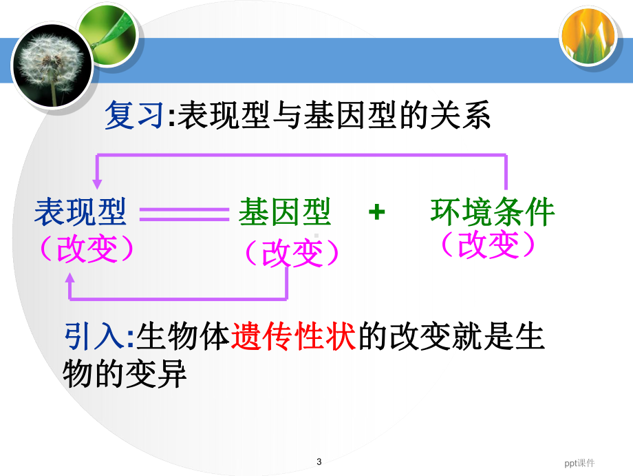 基因突变和基因重组(优质课)-ppt课件.ppt_第3页