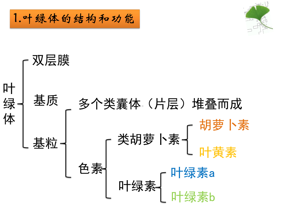 一轮复习专题-光合作用课件.pptx_第3页