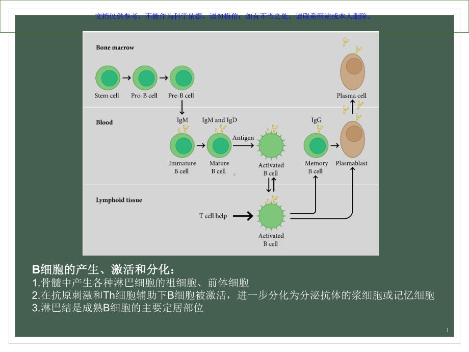 美罗华利妥昔单抗课件.ppt_第1页