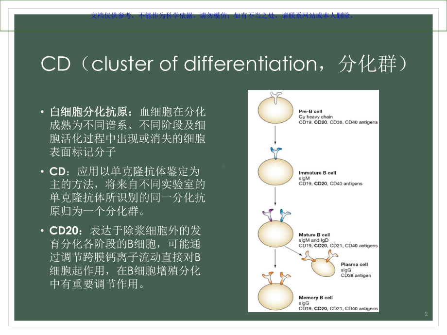 美罗华利妥昔单抗课件.ppt_第2页