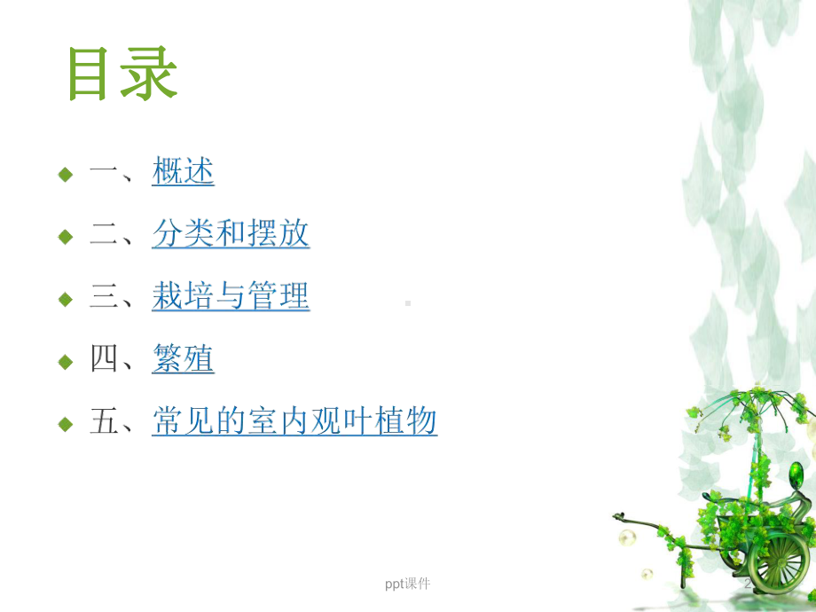 室内观叶植物-ppt课件.ppt_第2页