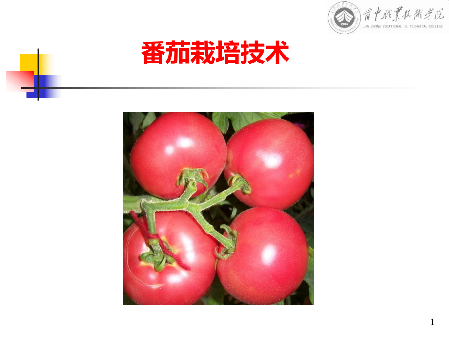 番茄栽培PPT课件.ppt_第1页