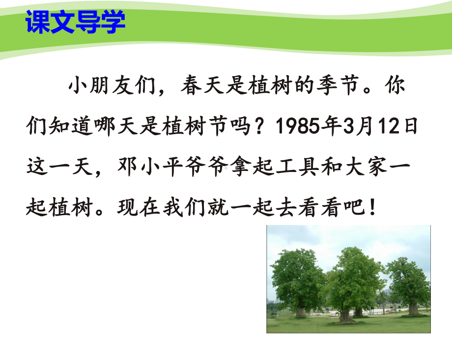 《邓爷爷植树》课件1.ppt_第2页